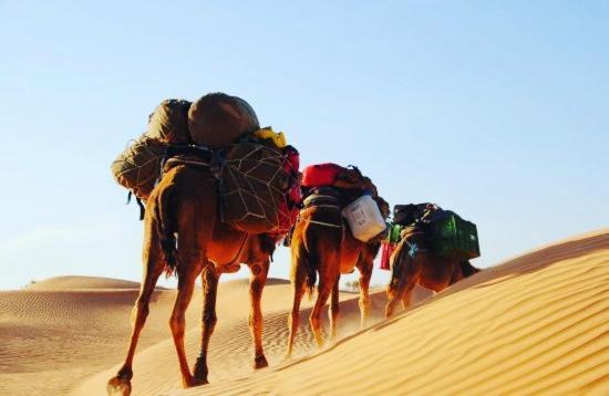 Camp Sahara Holidays M'Hamid Exteriér fotografie