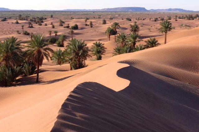 Camp Sahara Holidays M'Hamid Exteriér fotografie