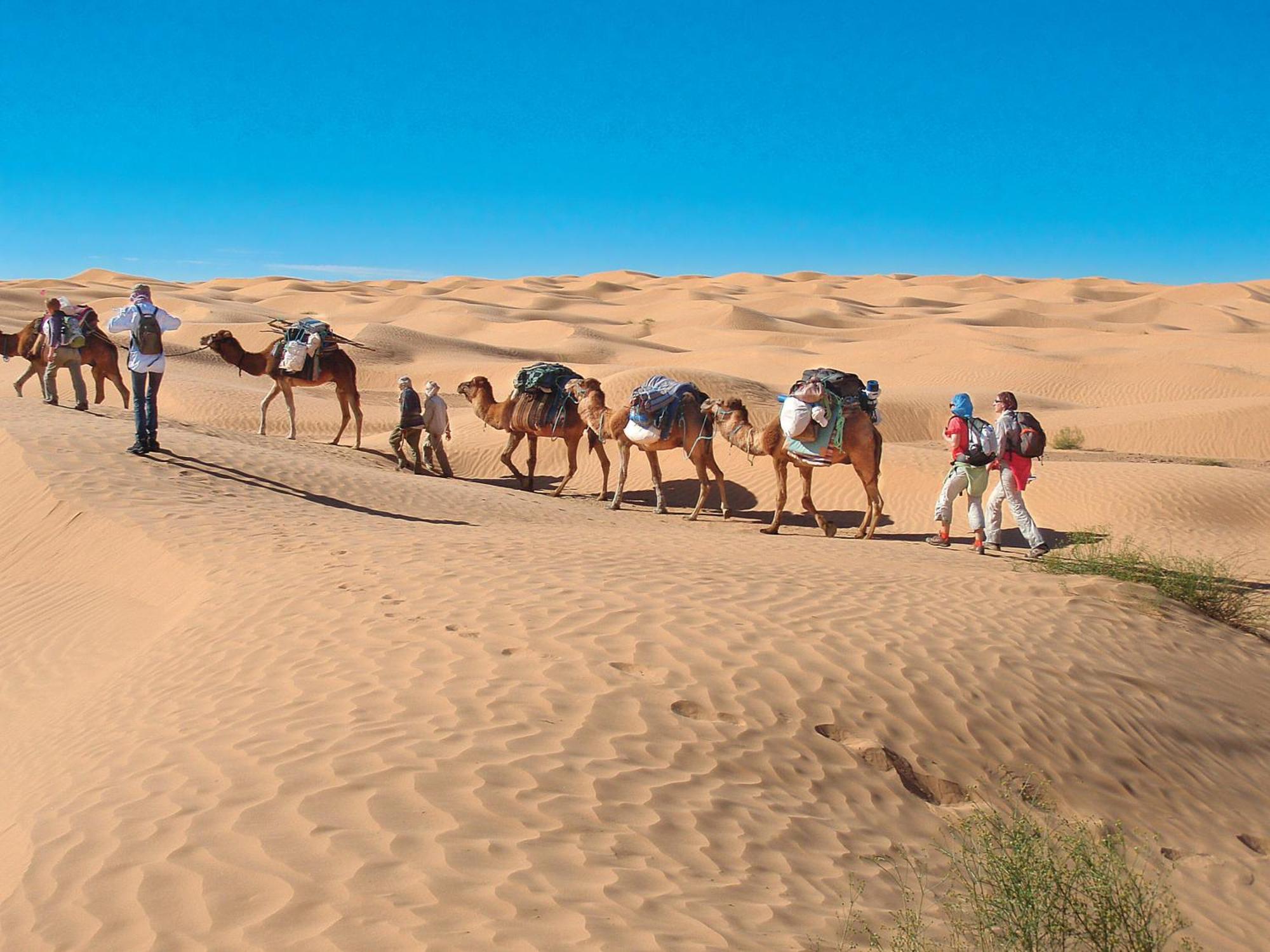 Camp Sahara Holidays M'Hamid Exteriér fotografie