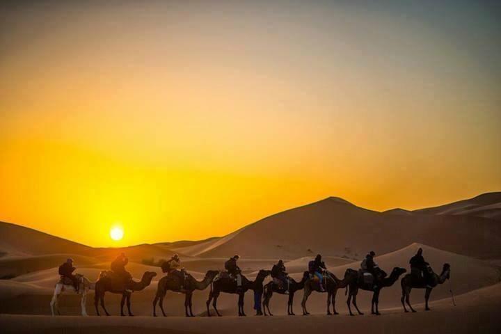 Camp Sahara Holidays M'Hamid Exteriér fotografie