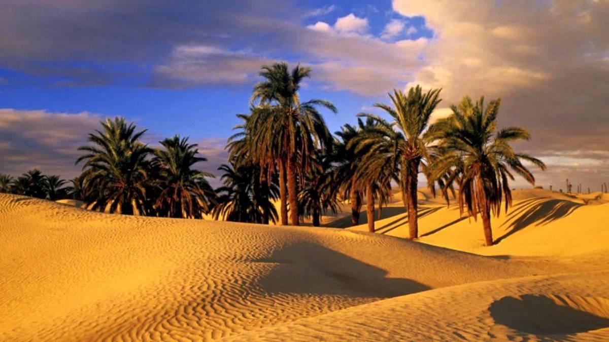 Camp Sahara Holidays M'Hamid Exteriér fotografie