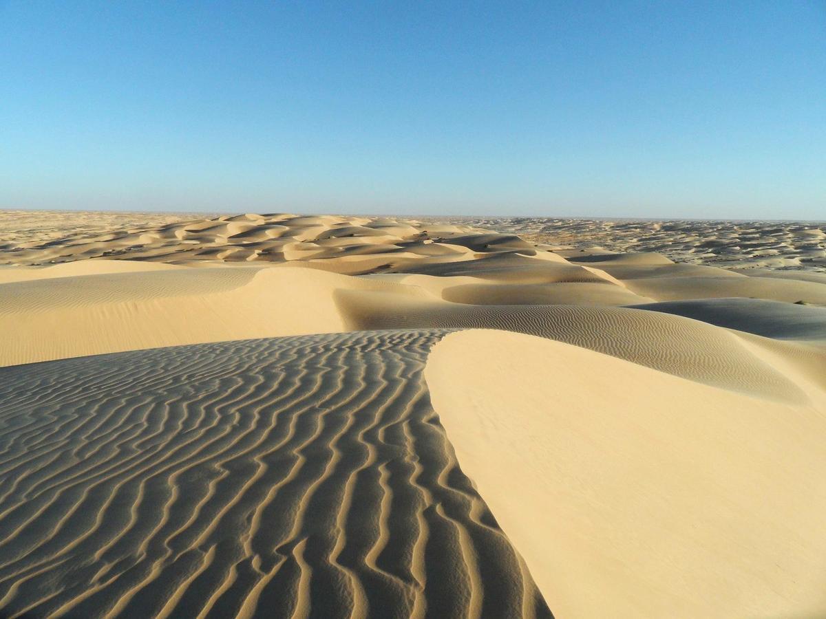 Camp Sahara Holidays M'Hamid Exteriér fotografie