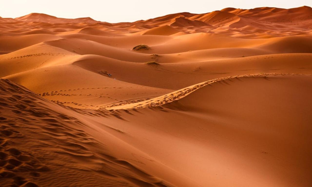 Camp Sahara Holidays M'Hamid Exteriér fotografie
