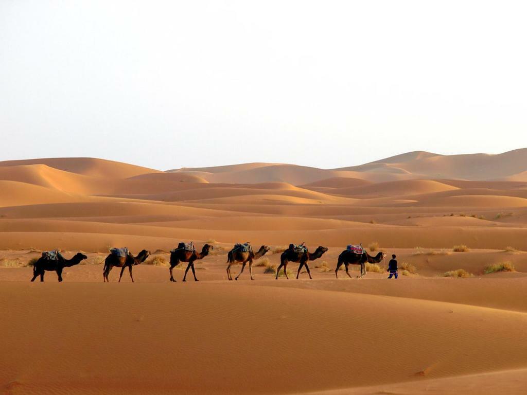 Camp Sahara Holidays M'Hamid Exteriér fotografie