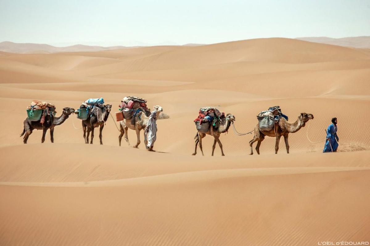 Camp Sahara Holidays M'Hamid Exteriér fotografie